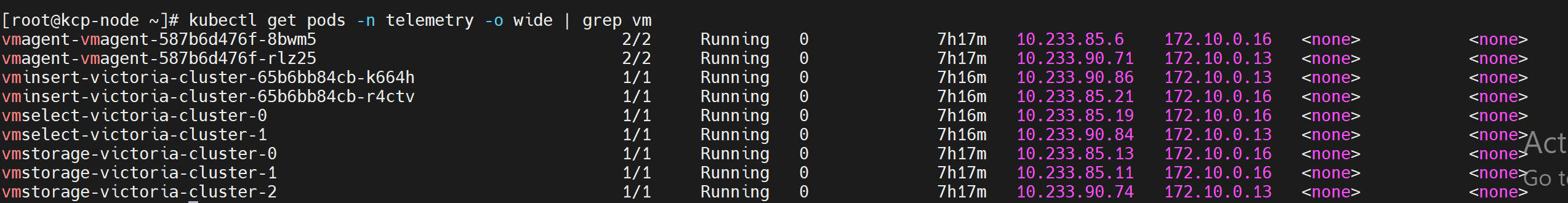 ../../../_images/victoria_metrics_pod_cluster_mode.png