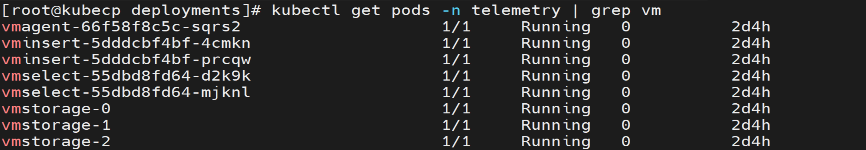 ../_images/victoria_metrics_pod_cluster_mode.png