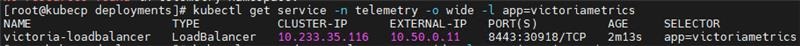 ../_images/victoria_metrics_service.png