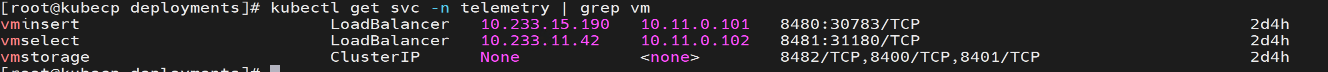 ../../../_images/victoria_metrics_service_cluster.png