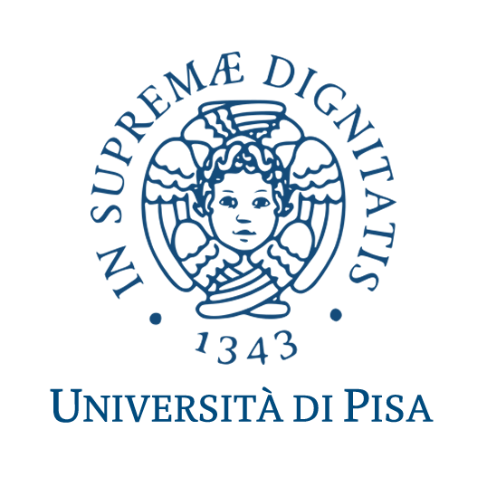 University of Pisa