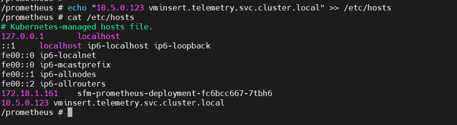 vminsert Hosts Entry